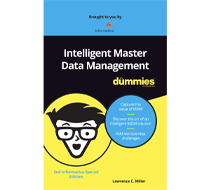 Intelligent Master Data Management for Dummies