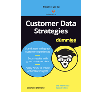 Customer Data Strategies for Dummies